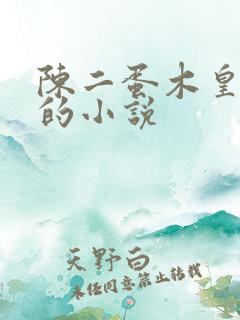 陈二蛋木皇真经的小说