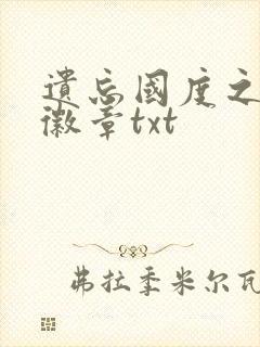 遗忘国度之神秘徽章txt