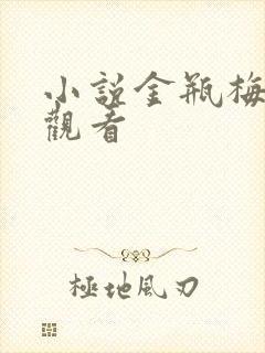 小说金瓶梅在线观看