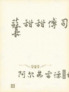 苏甜甜傅司衍机长