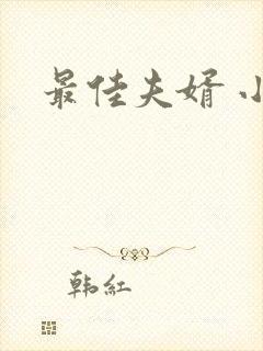 最佳夫婿 小说