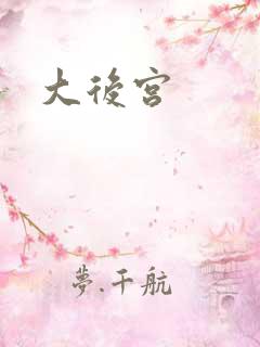 大后宫