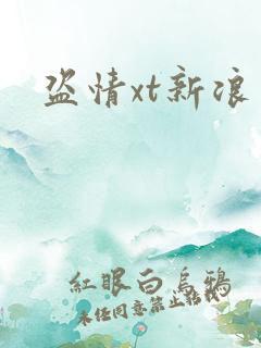 盗情xt新浪