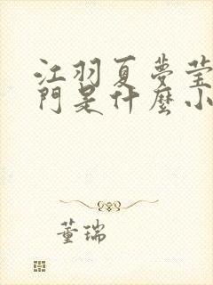 江羽夏梦莹神谕门是什么小说