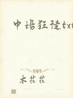 中场狂徒txt
