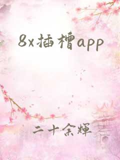 8x插槽app