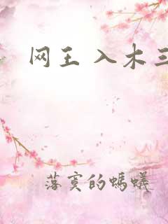 网王 入木三分
