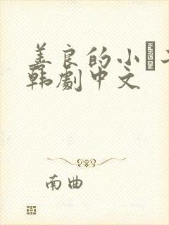 善良的小峓子2韩剧中文