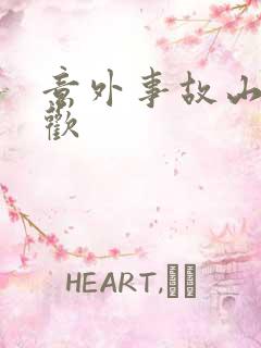 意外事故山月辞欢