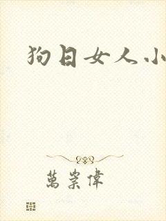 狗日女人小说