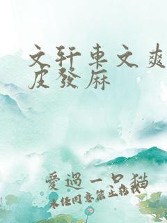 文轩车文爽到头皮发麻