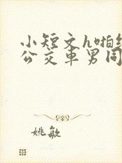 小短文h啪纯肉公交车男同