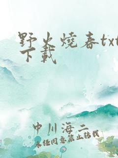 野火烧春txt下载