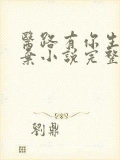 医路有你生死不弃小说完整版