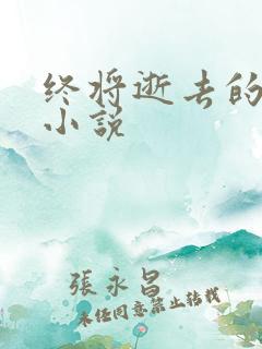 终将逝去的青春小说