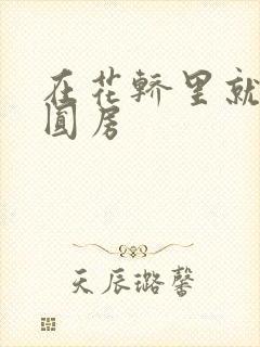 在花轿里就开始圆房