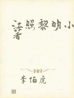 江照黎明小说原著