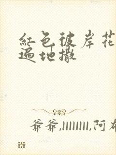 红色彼岸花花瓣遍地撒