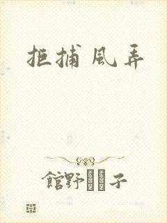 拒捕 风弄