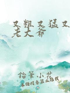 又粗又猛又大爽老大爷