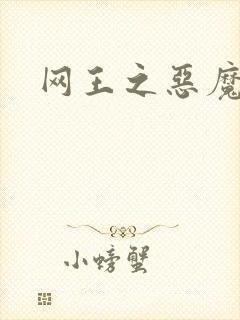 网王之恶魔之子
