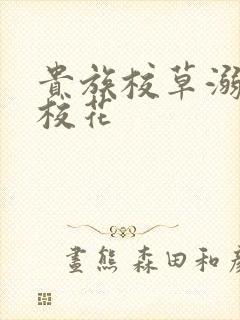 贵族校草溺爱拽校花