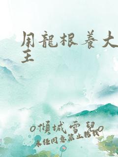 用龙根养大的公主