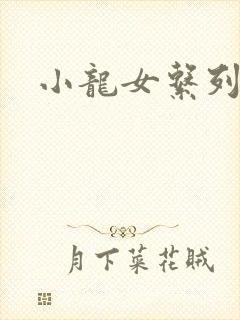 小龙女系列小说