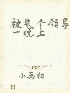 被几个领导玩弄一晚上