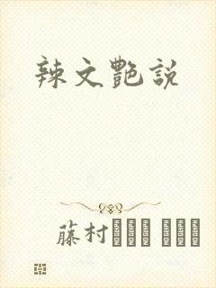 辣文艳说