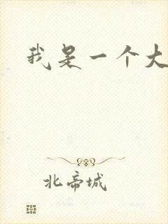 我是一个大盗贼