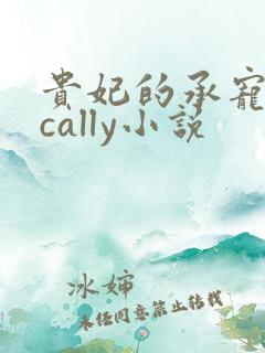 贵妃的承宠日常cally小说