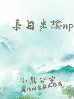 长日光阴np