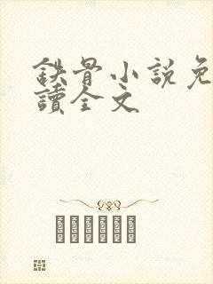 铁骨小说免费阅读全文