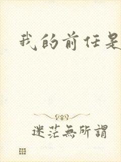 我的前任是极品