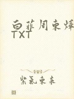 白菲周东烨小说TXT