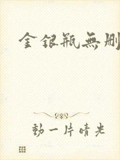 金银瓶无删除