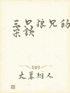 三只狼兄的宠妻宋钦