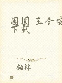 团圆 王全安 下载