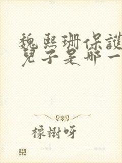 魏熙珊保护萧峥儿子是哪一集