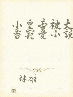 小皇帝被大臣轮番宠爱小说