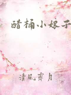醋桶小娘子