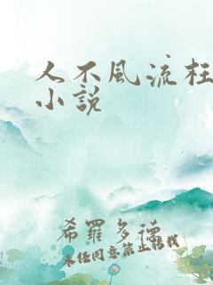 人不风流枉少年小说