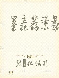 男主裴湛是省委书记的小说