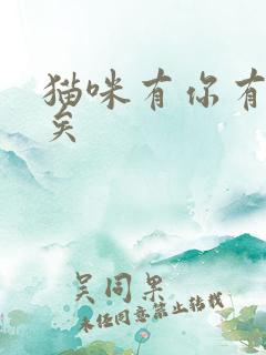 猫咪有你有我足矣