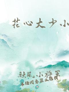花心大少小说