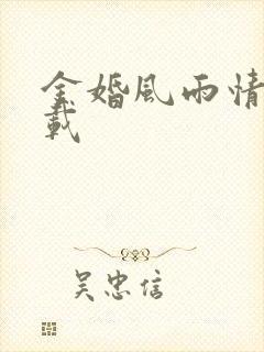 金婚风雨情 下载