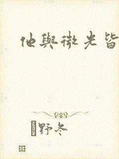 他与微光皆倾城