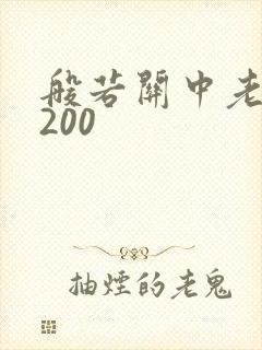 般若关中老人5200