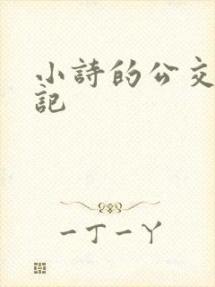 小诗的公交车日记